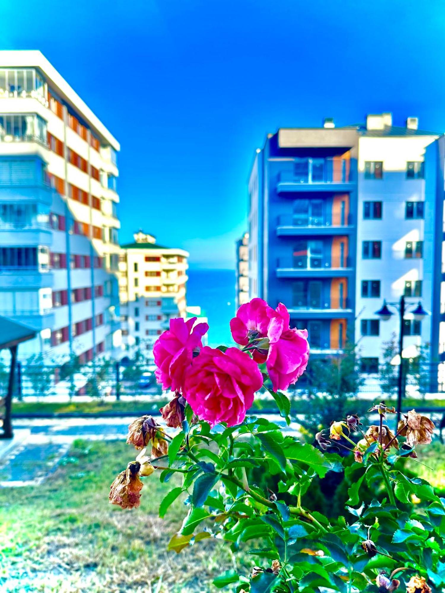 Bazalt Apart Hotel Trabzon Ngoại thất bức ảnh